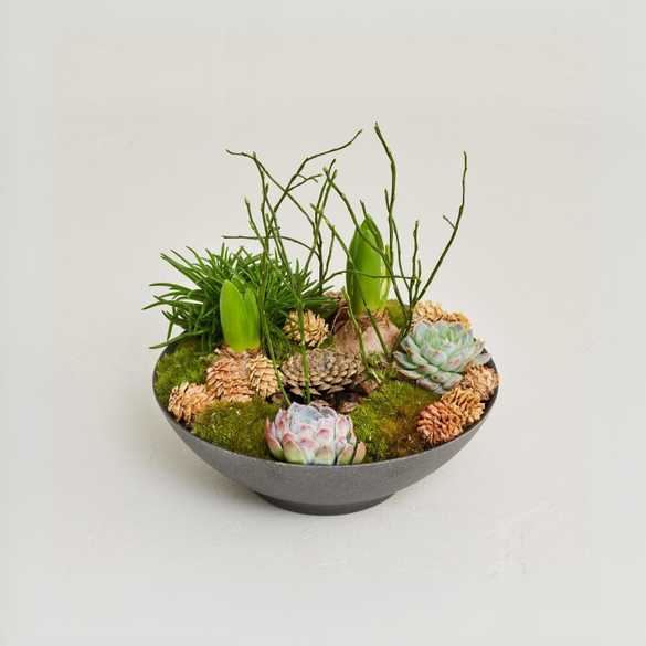 Vinter sammenplantning